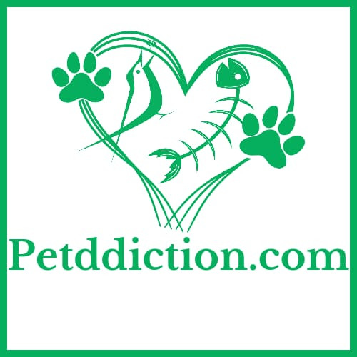 Petddiction